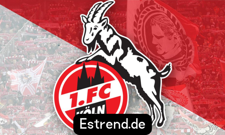 Teilnehmer: 1. FC Köln Tabelle